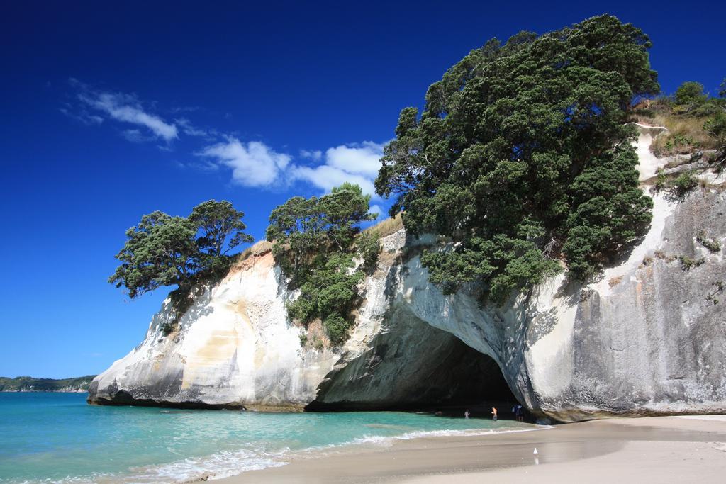 Hot Water Beach Surf Sound Cottage Hotwater Beach Ngoại thất bức ảnh